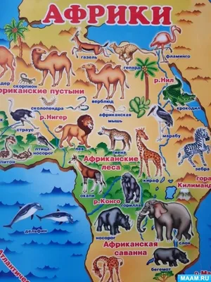 Пазл «Животный мир Африки » из 234 элементов | Собрать онлайн пазл №264460