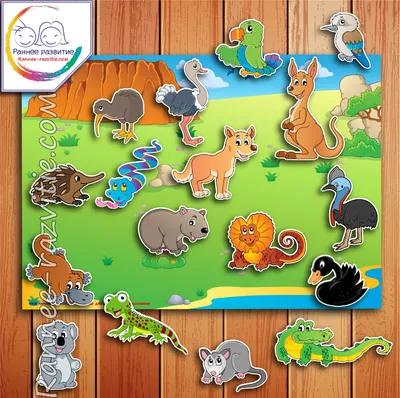Дидактическая игра «Животные Австралии» - Скачать шаблон | Раннее развитие