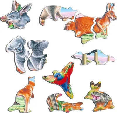 Животные австралии рисунки для детей (38 фото) » рисунки для срисовки на  Газ-квас.ком