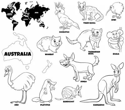 Животные австралии картинки раскраски