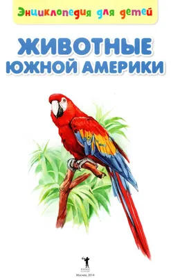 Животные Южной Америки. Обучающие карточки на картоне с познавательным  текстом купить по цене 50 ₽ в интернет-магазине KazanExpress