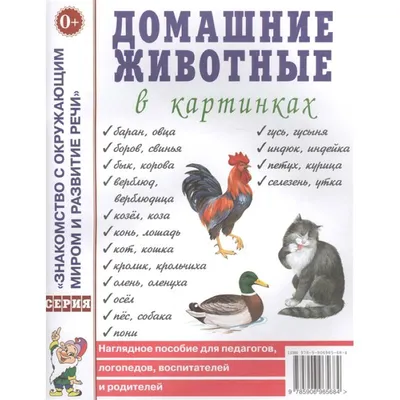 Переводные картинки. Животный мир - купить с доставкой по Москве и РФ по  низкой цене | Официальный сайт издательства Робинс