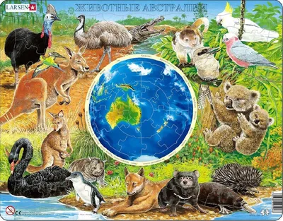 Книга АСТ Атлас животных мира в картинках купить по цене 1306 ₽ в  интернет-магазине Детский мир