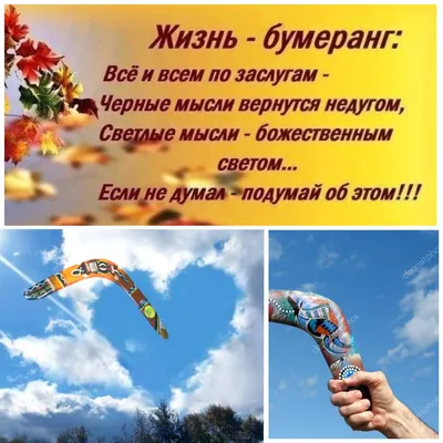 retweet on X: \"#бумеранг #жизнь https://t.co/eUwGS3dU1D\" / X