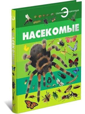 Жук, искусственное насекомое, детская игрушка, фигурки пауков, реалистичные  фигурки насекомых, искусственное насекомое, игрушки насекомых | AliExpress