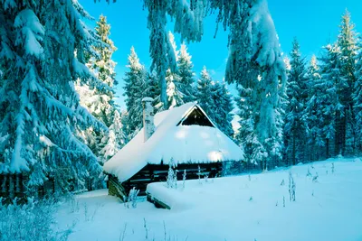 Зимний яркий пейзаж домик в лесу,оргалит,30х30 №1167244 - купить в Украине  на Crafta.ua