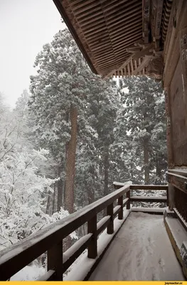Домик в лесу зимой (146 фото) - фото - картинки и рисунки: скачать бесплатно