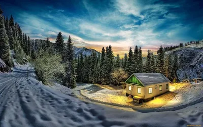 Дом в лесу зимой - фото и картинки: 31 штук