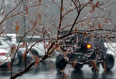 30-градусный мороз и дождь обещают в Красноярске на новой неделе