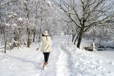 Зима 2023−2024: холодная или теплая — метеоролог предоставила прогноз на  каждый месяц — погода в Украине / NV
