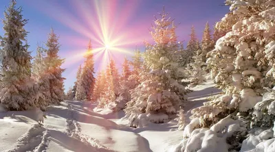 Ледяная трава- зима, январь Стоковое Фото - изображение насчитывающей  художничества, оборудовано: 168590116