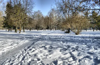 Январь, зима, природа - фото, приметы января