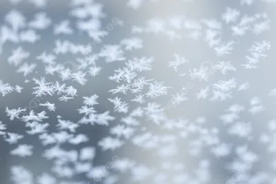 Фотография Зима идет, зиме -дорогу! №380798 - «Зимняя сказка» (01.03.2023 -  20:34)