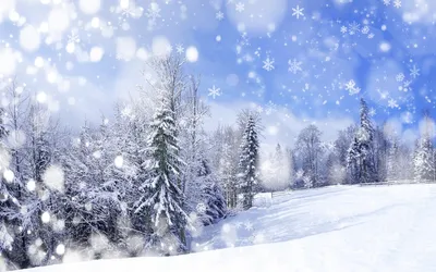 Картинки зимние забавы на снегу для детей (65 фото) » Картинки и статусы  про окружающий мир вокруг