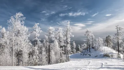 картинки : холодно, зима, мороз, милый, Погода, снежно, время года, шарф,  на открытом воздухе, Снеговик, Замораживание, пусть идет снег 5029x3352 - -  1193576 - красивые картинки - PxHere