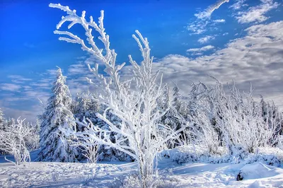 Снег Зима Мороз - Бесплатное фото на Pixabay - Pixabay