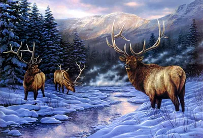 Иллюстрация Олени зимой в стиле реализм | Illustrators.ru