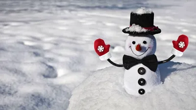 Картинка зима. Снег, снеговик, улыбка, позитив, настроения, зима. | Снеговик  фрости, Снеговик, Рождественский снеговик