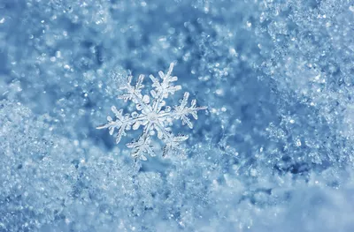 зима снежинки иллюстрации установленная Иллюстрация вектора - иллюстрации  насчитывающей витиеватый, рождество: 16732026