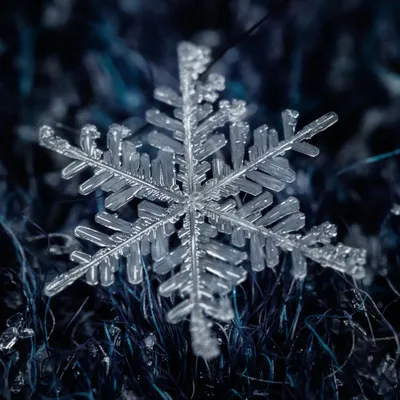 snowflake | winter | зима | снежинка / 冬 |雪片 / 겨울 | 눈송이 / Қыс | қарлығаш  /Musim dingin | Снежинки, Зима, Рождество