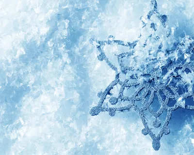Бесплатное изображение: Зима, снежинка, макро, кристалл, Мороз, филиал,  природа, снег