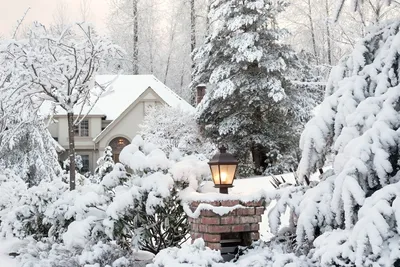 Уют и домашнее тепло, это самое неуловимое волшебство, которое можно  чувствовать в свой выходной день. #зима#январь#в_доме_моем #гармония… |  Instagram