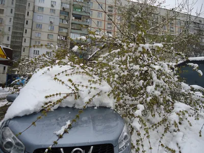 Наш Челябинск - ❄ Зима вернулась в Челябинскую область. В понедельник, 8  февраля, ожидается похолодание до −28 градусов. Также синоптики  предупреждают об осадках и сильном ветре. 👉 В ночь на понедельник в
