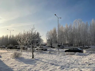 Зима вернулась? Из-за снегопадов в Беларуси объявлен оранжевый уровень  опасности