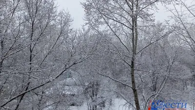 Апрельский снег: В Бурятию вернулась зима. ФОТО, ВИДЕО