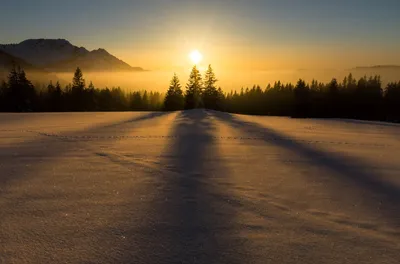 Зимнее солнцестояние. Несколько фактов о самом коротком дне в году