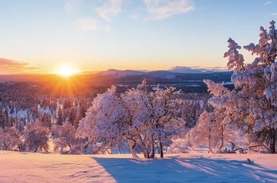 Как связаны зимнее солнцестояние и китайские пельмени? | The-steppe.com