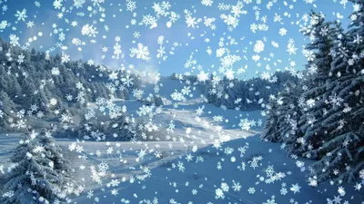 Проект «Волшебное зимнее чудо–снежинка» (1 фото). Воспитателям детских  садов, школьным учителям и педагогам - Маам.ру