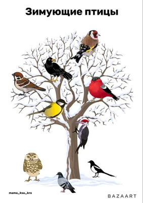 Раскраски зимующие птицы для дошкольников - 75 фото