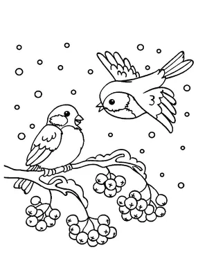 Раскраска Зимующие птицы распечатать бесплатно | Раскраски, Снегирь, Птицы