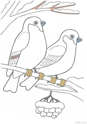 Раскраска Птицы у кормушки | Раскраски по номерам. Детские раскраски по  номерам