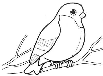 Раскраска зимующие птицы на картинке 😻 распечатать бесплатно