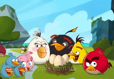 Angry Birds в кино - «Злые птички наступают!» | отзывы
