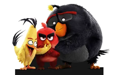 Обои на рабочий стол Отчаянные Ред, Чак и Бомб против зеленых свинок,  мультфильм Angry Birds в кино / Злые птички в кино, обои для рабочего  стола, скачать обои, обои бесплатно