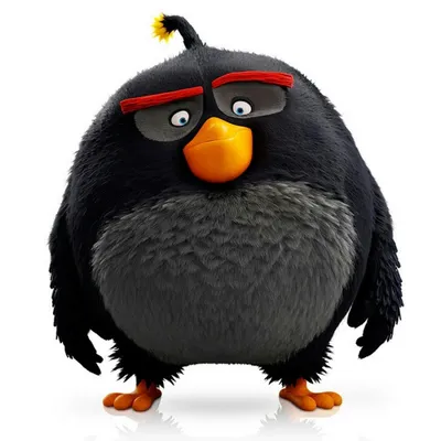 Термонаклейка Зелёная птица (Бумеранг, Тукан) из Angry Birds – Злые Птицы,  термоперенос на ткань - купить аппликацию, принт, тер
