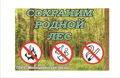 Охрана леса, плакат (арт. БЛ-36) купить в Москве с доставкой: цены в  интернет-магазине АзбукаДекор