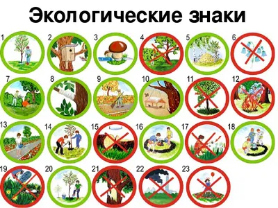 С 1 июля ограничивается посещение гражданами лесов Чувашской Республики |  Янтиковский муниципальный округ Чувашской Республики