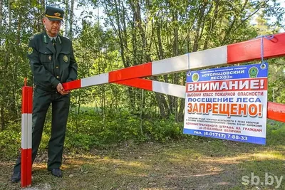 Символы лесного хозяйства Российской Федерации