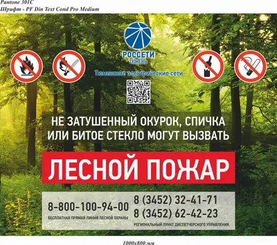 Ограничения и запреты на посещение лесов