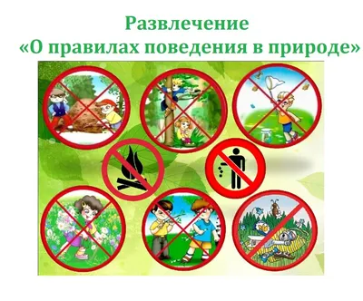 Запрет на посещение лесов уже снят в 11 районах
