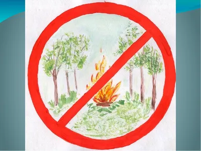 С 23 августа во всех районах Витебской области вводится запрет на посещение  лесов