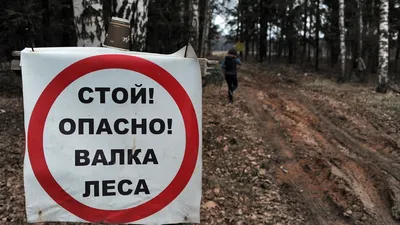Что делать, если вы заблудились в лесу - Новости - Главное управление МЧС  России по Ненецкому АО