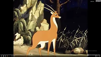 Золотая антилопа: цитаты из мультфильма