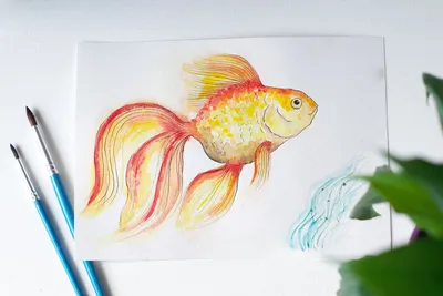 Картинка золотая рыбка раскраска - 76 фото