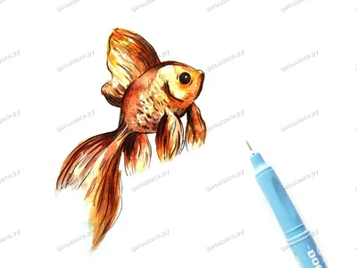 Рисунок Золотая рыбка №136712 - «МОЙ ДОМАШНИЙ ПИТОМЕЦ» (30.12.2023 - 12:54)