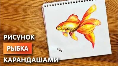 Золотая рыбка и старик - Золотая рыбка - Раскраски антистресс